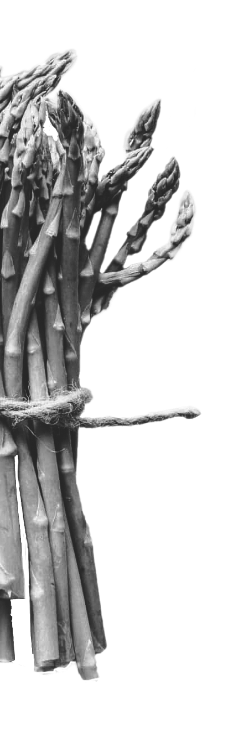black and white asparagus